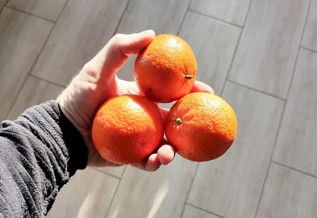 Ile kcal ma mandarynka? Kaloryczność, wartości odżywcze i korzyści zdrowotne Ile kcal ma mandarynka? Kaloryczność, wartości odżywcze i korzyści zdrowotne